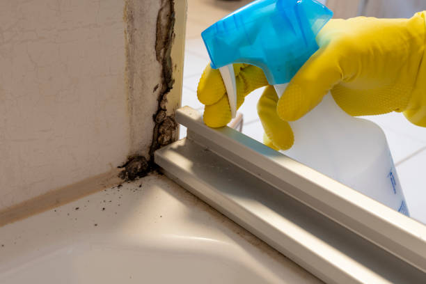 Best Commercial Mold Removal  in Red Bay, AL