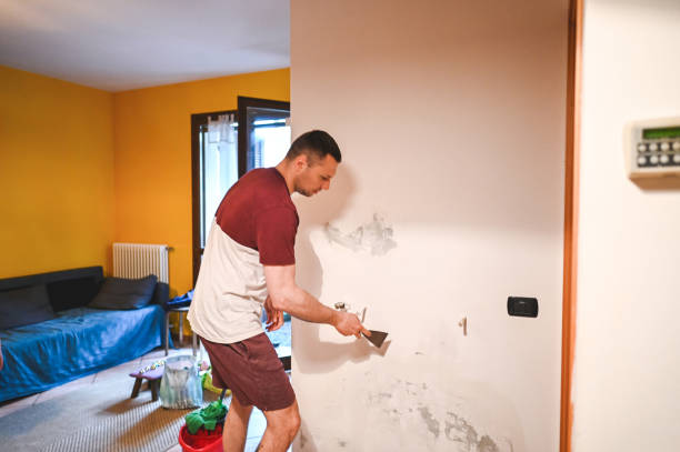 Best Same-Day Mold Removal  in Red Bay, AL